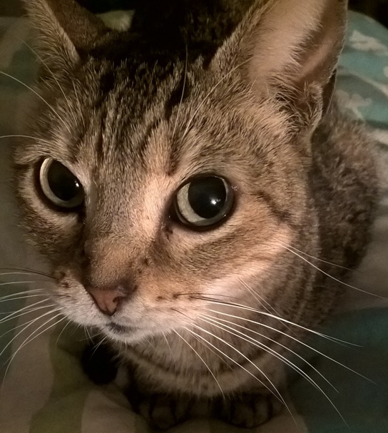 Da war die Welt noch in Ordnung!